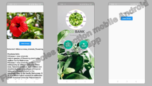 Flower species detection mobile Android and iOS app